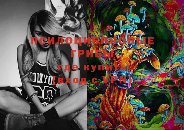 jwh Ладушкин