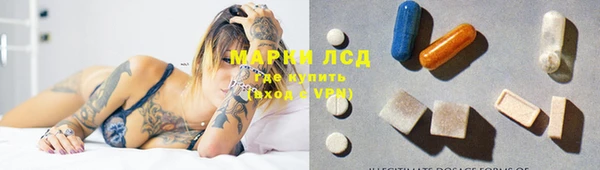 apvp Алексин