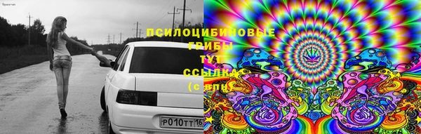 стафф Алексеевка