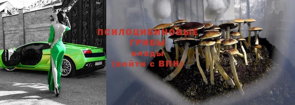 стафф Алексеевка